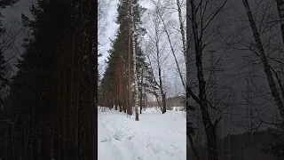 ❄Когда зима в душе пройдёт ❄❄И. Круг и А. Брянцев 💞