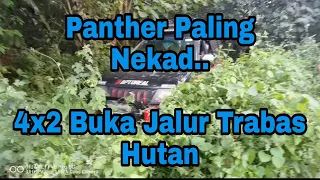 Nekad masuk Hutan Buka Jalur 4x2 Isuzu Panther #isuzu #panther #offroad #panther #panthermania