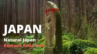 Exploring Natural Japan - Kumano Kodo Trail