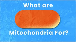 WAY More than a Powerhouse: The Incredible Roles Mitochondria Play