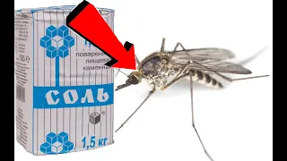 Как избавиться от комаров За 0001миллисекунд!