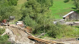 Ai e lyente me Vaj Ulliri dhe ma kryente at punen 8 or pa ndalim