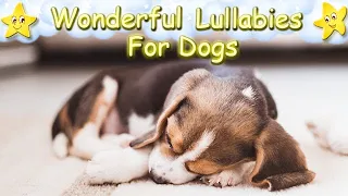 Relaxing Sleep Music For Beagles ♫ Calm Relax Your Dog Puppy ♥ Soft Lullaby For Animals Pet Music