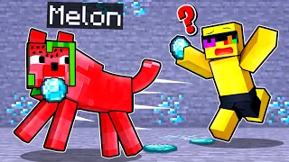 Melon Is HELPFUL DOG in Minecraft!