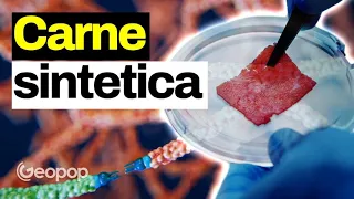 Come si produce la carne sintetica in laboratorio: che sapore ha, quanto costa e i vantaggi