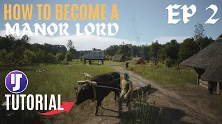 Becoming A Manor Lord Made Easy // Step By Step Tutorial Let's Play - Ep2