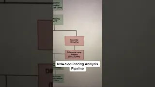 RNA Sequencing Analysis Pipeline