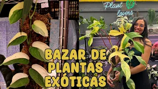 Bazar de plantas exóticas, raras y más costosas que he visto PLANT FEST | Candy Bu