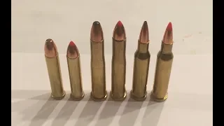 22 mag vs 22 hornet vs 17 hornet vs chronograph vs steel