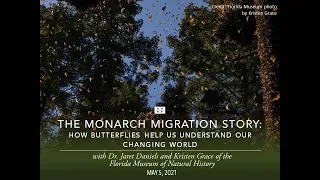 The Monarch Migration Story: How Butterflies Help Us Understand Our Changing World