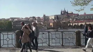 Ты мой букет рябины💃🌹 Поездка вдоль набережной  Влтавы💃🌹 Прага💃🌹 Чехия