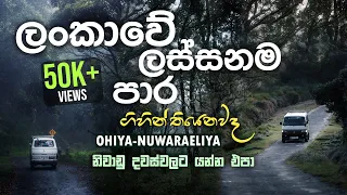 ලංකාවේ ලස්සනම පාර | Ohiya - Pattipola - Ambewela - Nuwaraeliya| Strawberry Farm | Vlog 21