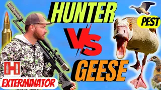 GEESE HUNTING WITH RIFLE  PT-1 I HUNTER VERSUS GEESE PROBLEM I GEESE HUNTING 2023