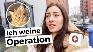 Ich weine wegen Operation 😣 🩺 VLOG | Kastration unserer Katzen