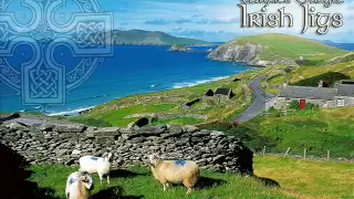 Traditional Irish Jig Medley: Geese In The Bog / The Wind That Shakes The Barley