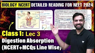 Lec 3: Digestion & Absorption | Class 11 NEET 2024 | NCERT Biology line by line | Anmol Sharma