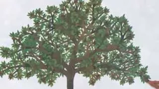 The Apple Pie Tree by Zoe Hall and Shari Halpern. Grandma Annii's Storytime