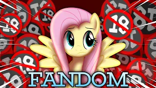 TODOS OS ABSURDOS COMETIDOS PELA FANDOM DE MY LITTLE PONY!