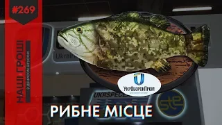 Життя на оборонці: ресторан, маєток, і автівки топа Укрспецекспорту /// Наші гроші №269 (2019.05.06)