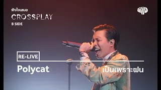 Polycat - เป็นเพราะฝน (Live) [Fungjai Crossplay B Side Concert]