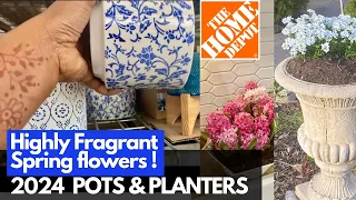 HOMEDEPOT Pots & Planters 2024| Plantshopping & Planting CANDYTUFT  Flower.