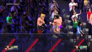 WWE 2K15 fails and funny crowd glitches