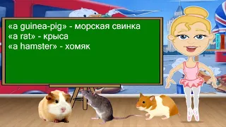 ENGLISHMANny - pets (домашние питомцы на английском)