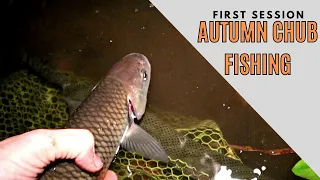 Early Autumn Chub Fishing on the River (with a surprise catch!)