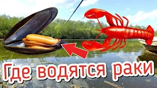 Если увидите это на берегу значит в водоеме есть раки! Как определить водятся ли в водоеме раки?