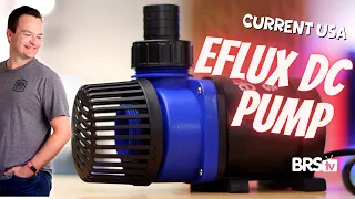 Quiet, Efficient, & AFFORDABLE Aquarium Pumps! Current USA Eflux Flow Pumps