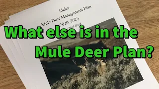 Idaho's 2019 Mule Deer Plan
