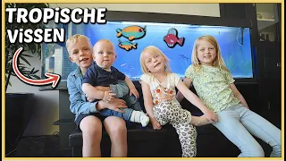 AQUARiUM MET TROPiSCHE ViSSEN iN ONZE WOONKAMER! 🐠 | Bellinga Vlog #2461 GOED