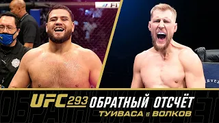 UFC 293: Обратный отсчет - Туиваса vs Волков