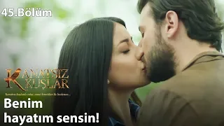 Zeynep & Onur Barışıyor - Kanatsız Kuşlar 45.Bölüm