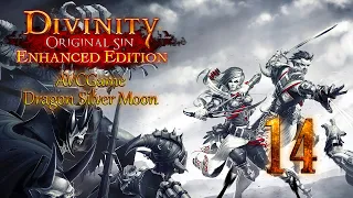 Divinity: Original Sin с Андреем #14 - Пляж