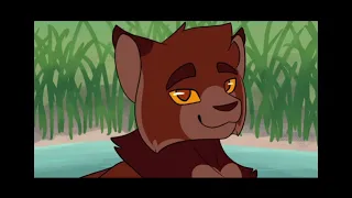 Just a little over 12 minutes of my favourite warrior cat memes!