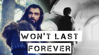 Thorin & Bilbo | won't last forever