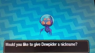 LIVE BACK TO BACK SHINIES! 2 Shiny Dewpider after 597 and 598 eggs! (Totem Quest #9)