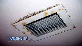 How to address tenant if mold found in rental home