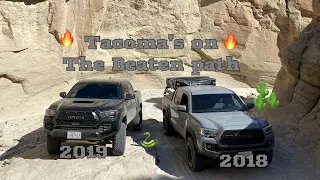 2019 Toyota Tacoma TRD Pro Vs.2018 Tacoma TRD Off-road