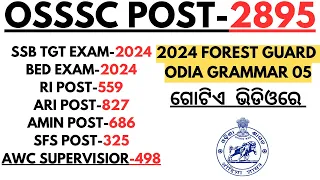 Odia Grammar Selected Questions For Osssc ri ari Amin sfs AWC SUPERVISOR SSB TGT BEd Exam 2024