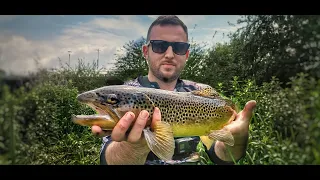 Pecanje PASTRMKE na reci Ogosti! Zveri plivaju ovom rekom! Trout Fishing/Angeln