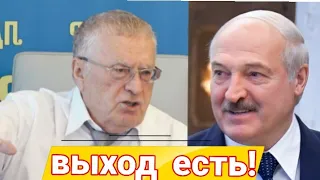 Жириновский про Беларусь! Владимир Жириновский про Лукашенко.