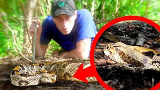 WILL IT BITE? Catching the DEADLIEST SNAKE in Louisiana! (ft. Life's Wild Adventures)