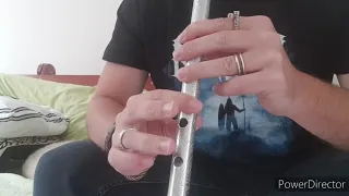The Silvern Glow eluveitie tin whistle flute tutorial