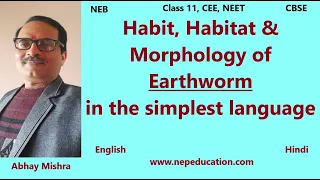 Habit, Habitat & morphology of Earthworm for Class 11 in Hindi for CBSE, NEB, NEET, CEE etc