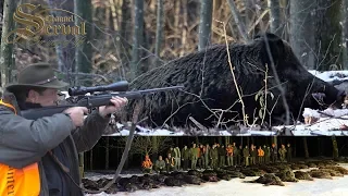 The best wildboar driven hunt in Pisanicka Bilogora - Croatia 2019 - Wildschweindrückjagd