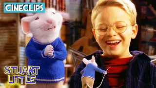 Brotherly Bonding  | Stuart Little | CineClips