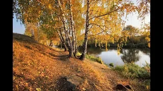 Стихи про Любовь.Печальная Баллада. Читает Автор Александр Лесь.