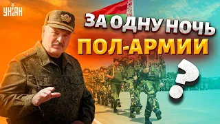 Сколько войск Лукашенко может переместить за ночь к нашей границе - Олег Жданов
